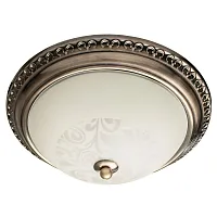 Потолочный светильник Arte Lamp ALTA A3009PL-2AB