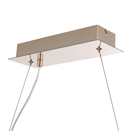 SL6135.233.01 Светильник подвесной ST-Luce золото/прозрачный, янтарный LED 1*24W 3000K LIGHTSOME фото 3