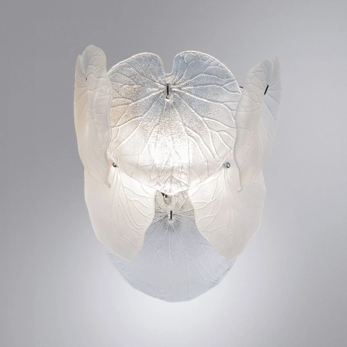 Настенный светильник Arte Lamp KAPRI A4078AP-2CC фото 2