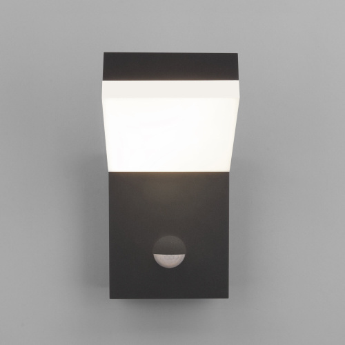 Уличный настенный светодиодный светильник Sensor IP54 с датчиком движения 1541 TECHNO LED черный фото 2 Уличный настенный светодиодный светильник Sensor IP54 с датчиком движения 1541 TECHNO LED черный фото 2