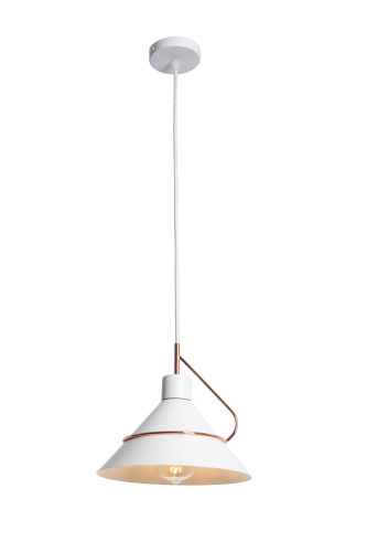 Подвесной светильник Freya FR5025PL-01W фото 3