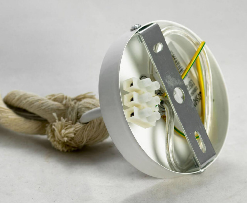 Подвесной светильник Lussole Loft Aya LSP-9993 фото 3