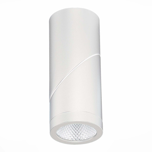 ST650.542.10 Светильник потолочный Белый LED 1*10W 4000K 800Lm Ra>90 38° IP44 D62xH151 165-265V Накладные светильники фото 2