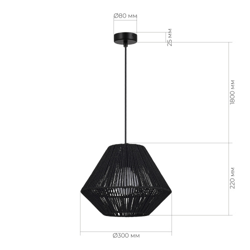 SLE6025-403-01 Светильник подвесной черный/черный E27 1*40W ETTAN фото 2