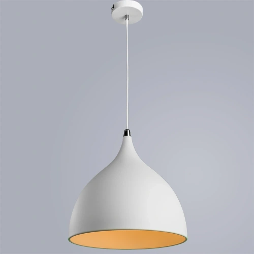 Подвесной светильник Arte Lamp CICLONE A9155SP-1WH фото 2