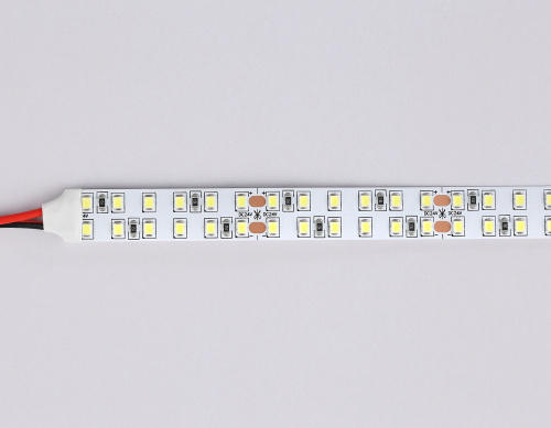 Светодиодная лента двухрядная 24В 2835 240Led 24Вт/м 6500K IP20 5м фото 4 Светодиодная лента двухрядная 24В 2835 240Led 24Вт/м 6500K IP20 5м фото 4