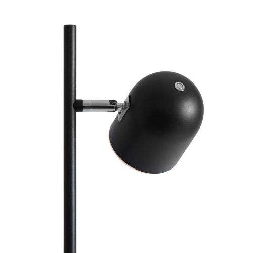 Напольный светильник Freya Modern FR5279FL-L7B фото 3