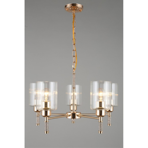 Люстра подвесная OML-66513-05 фото 8