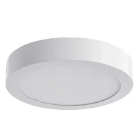 Потолочный светильник Arte Lamp ANGOLO A3018PL-1WH