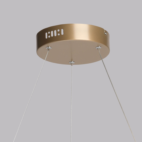 Подвесной светильник DeMarkt Толедо 312013201 фото 11 Подвесной светильник DeMarkt Толедо 312013201 фото 11