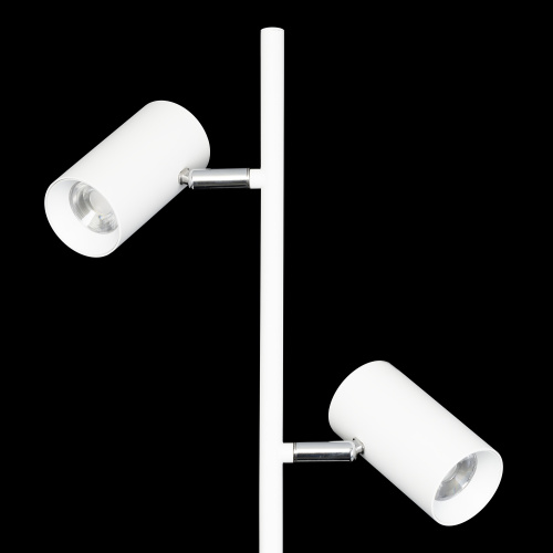 Citilux Twin CL809010N Торшер светодиодный Белый фото 4 Citilux Twin CL809010N Торшер светодиодный Белый фото 4