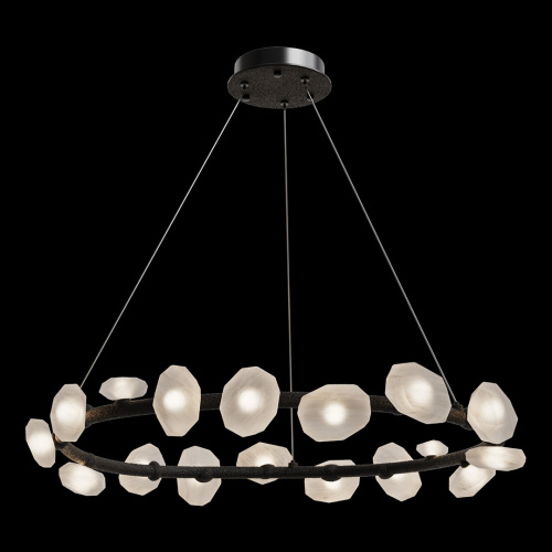 Подвесная люстра Pleiade Black FL1224-17P