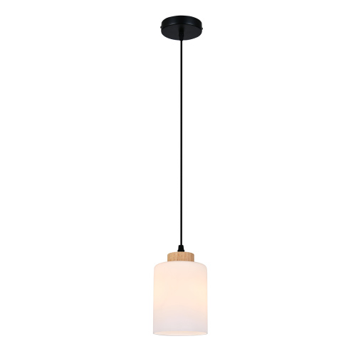 Подвесной светильник 160002/B/1P E27*60W Black
