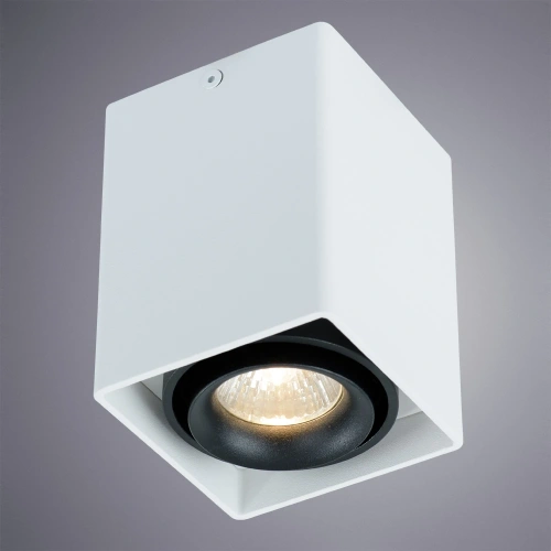 Точечный накладной светильник Arte Lamp PICTOR A5655PL-1WH фото 2 Точечный накладной светильник Arte Lamp PICTOR A5655PL-1WH фото 2