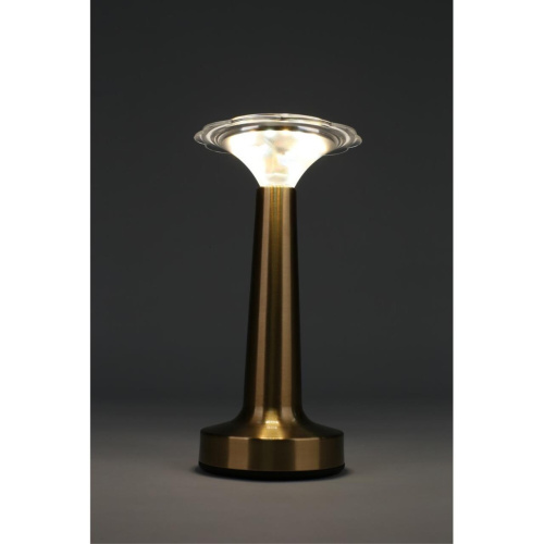 Настольная лампа OML-40204-01 фото 4