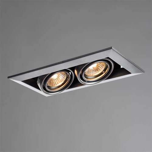 Карданный светильник Arte Lamp CARDANI PICCOLO A5941PL-2SI фото 2 Карданный светильник Arte Lamp CARDANI PICCOLO A5941PL-2SI фото 2