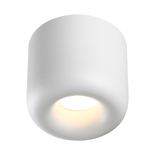359439 OVER NT24 372 белый Светильник накладной влагозащищённый IP44 LED 10W 220-240V 3000K 650Лм LISSE фото 4