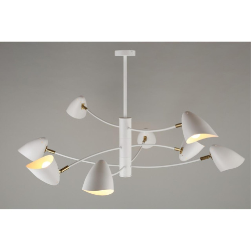 Люстра потолочная OML-29717-08 фото 8 Люстра потолочная OML-29717-08 фото 8