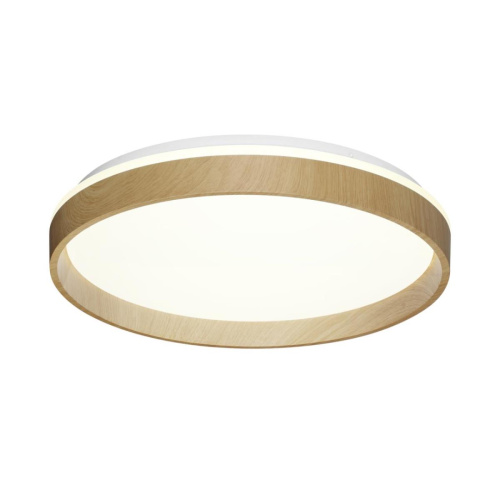 Настенно-потолочный светильник Sonex BASICA 7684/ELN фото 4