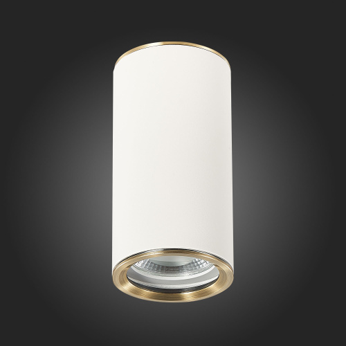 ST111.537.01 Светильник потолочный Белый GU10 1*50W D54xH105 220V Без ламп Накладные светильники фото 3