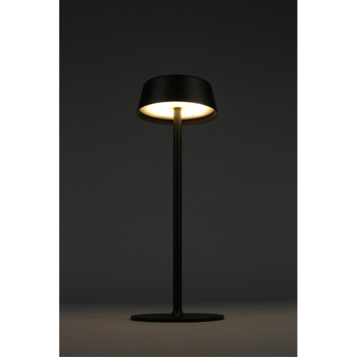 Настольная лампа OML-40504-01 фото 12