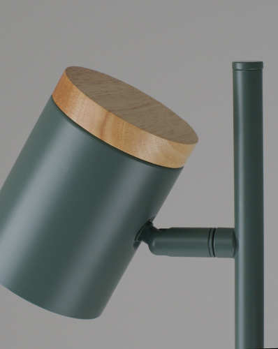 Торшер Moderli V11290-2F Asheswood фото 5 Торшер Moderli V11290-2F Asheswood фото 5