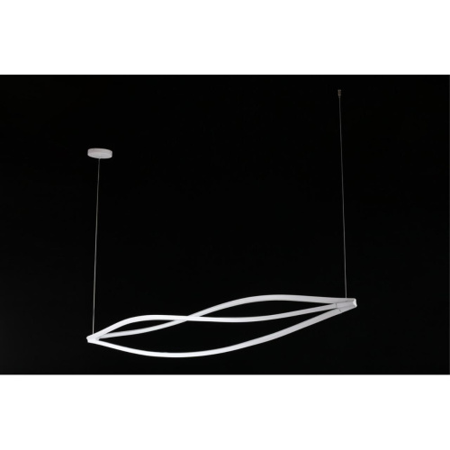 Люстра подвесная APL.783.03.45 фото 13 Люстра подвесная APL.783.03.45 фото 13