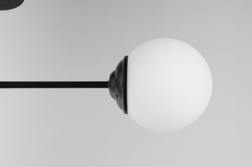 Подвесной светильник Lampit TP 2007-2 BK фото 2 Подвесной светильник Lampit TP 2007-2 BK фото 2