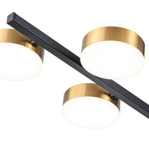 Светильник на штанге Escada 10266/6 LED*95W Black/Brass фото 6 Светильник на штанге Escada 10266/6 LED*95W Black/Brass фото 6