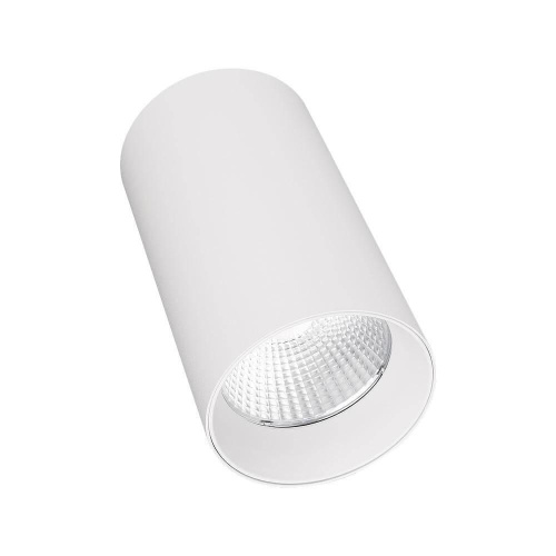 Потолочный светодиодный светильник Arlight SP-Polo-R85-1-15W Day White 40deg 022937 Потолочный светодиодный светильник Arlight SP-Polo-R85-1-15W Day White 40deg 022937