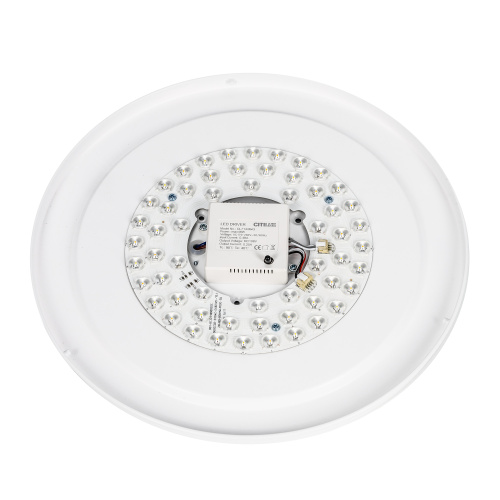 Citilux BOSS CL751350G LED RGB Светильник с пультом Белый фото 12