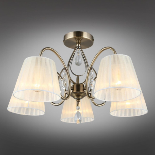 Люстра потолочная OML-56617-05 фото 3