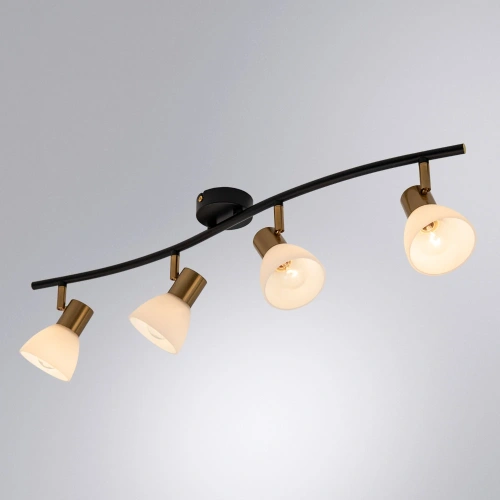 Спот Arte Lamp FALENA A3117PL-4BK фото 2