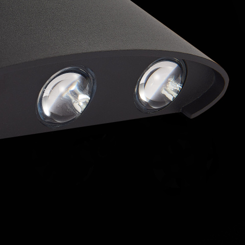 SL089.401.06 Светильник уличный настенный ST-Luce Черный кварцевый LED 6*1W 4000K BISELLO фото 11