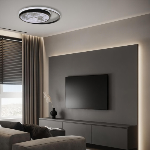 10217 Потолочный светильник LOFT IT Luna фото 5