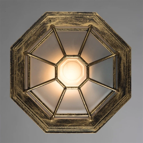 Уличный потолочный светильник Arte Lamp PEGASUS A3121PF-1BN фото 2 Уличный потолочный светильник Arte Lamp PEGASUS A3121PF-1BN фото 2