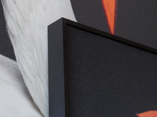 Декоративная картина FP Hermes Swan 80-120 фото 3 Декоративная картина FP Hermes Swan 80-120 фото 3