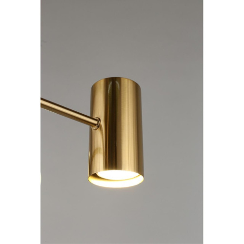 Люстра потолочная OML-68407-06 фото 7 Люстра потолочная OML-68407-06 фото 7