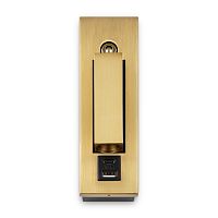 Настенный светильник (бра) Freya FR5347WL-L3BR