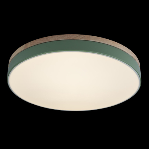 10001/36 Green Потолочный светильник LOFT IT Axel фото 4 10001/36 Green Потолочный светильник LOFT IT Axel фото 4