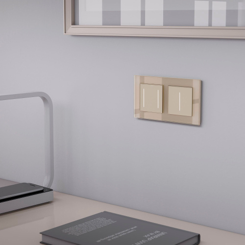 Рамка из стекла на 2 поста Favorit шампань W0021111 фото 2