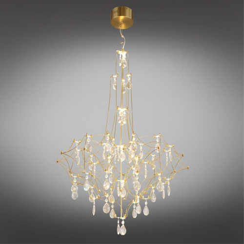 Люстра подвесная OML-95713-60 фото 3