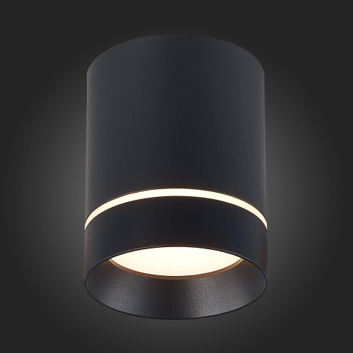 ST115.432.12 Светильник потолочный Черный LED 1*12W 3000K 840Lm Ra>90 120° IP20 D79xH100 170-240V Накладные светильники фото 4