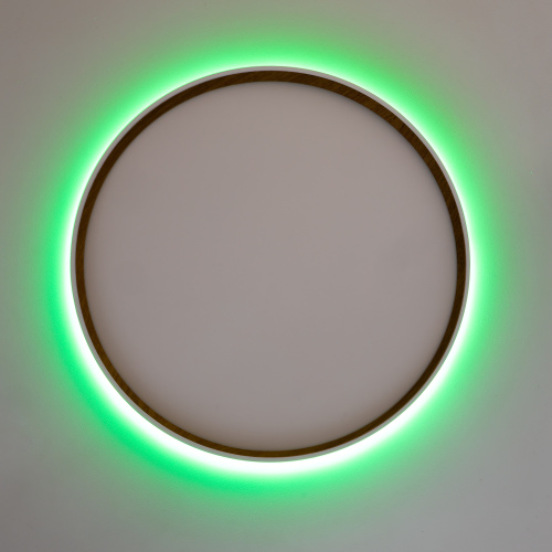 Citilux ETALON CL750400R LED RGB Светильник с пультом Белый+Бук фото 8 Citilux ETALON CL750400R LED RGB Светильник с пультом Белый+Бук фото 8