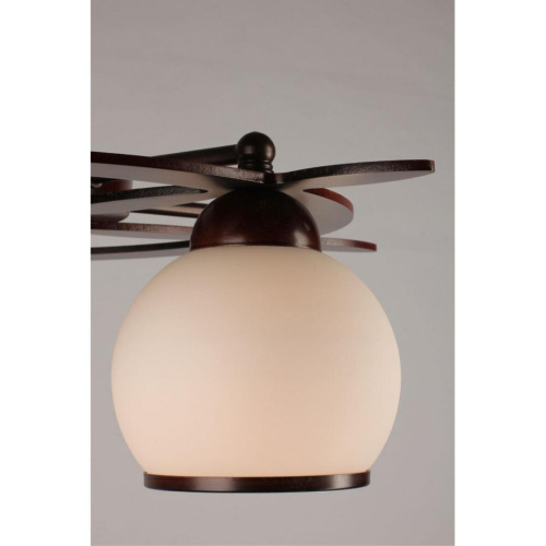 Люстра потолочная OML-50507-05 фото 2