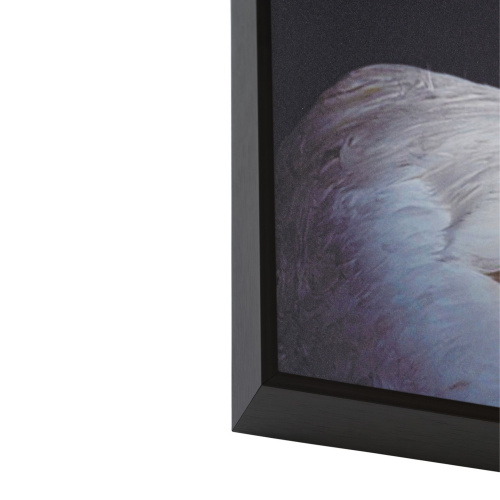 Декоративная картина FP Hermes Swan 80-120 фото 5 Декоративная картина FP Hermes Swan 80-120 фото 5