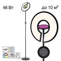 Торшер Citilux Loong CL810031