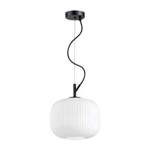 4753/1 PENDANT ODL21 411 белый/черный Подвес E27 60W ROOFI 4753/1 PENDANT ODL21 411 белый/черный Подвес E27 60W ROOFI