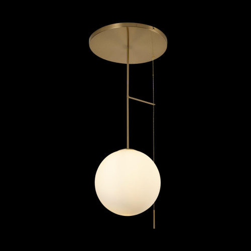 10029PM Gold Светильник на штанге LOFT IT Signal фото 3