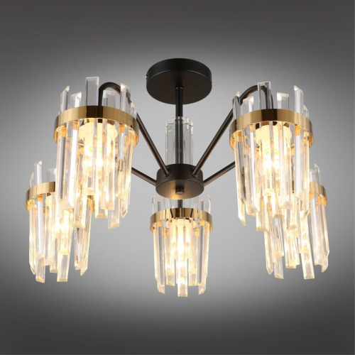 Люстра потолочная OML-67717-05 фото 3 Люстра потолочная OML-67717-05 фото 3